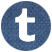 Tumblr icon