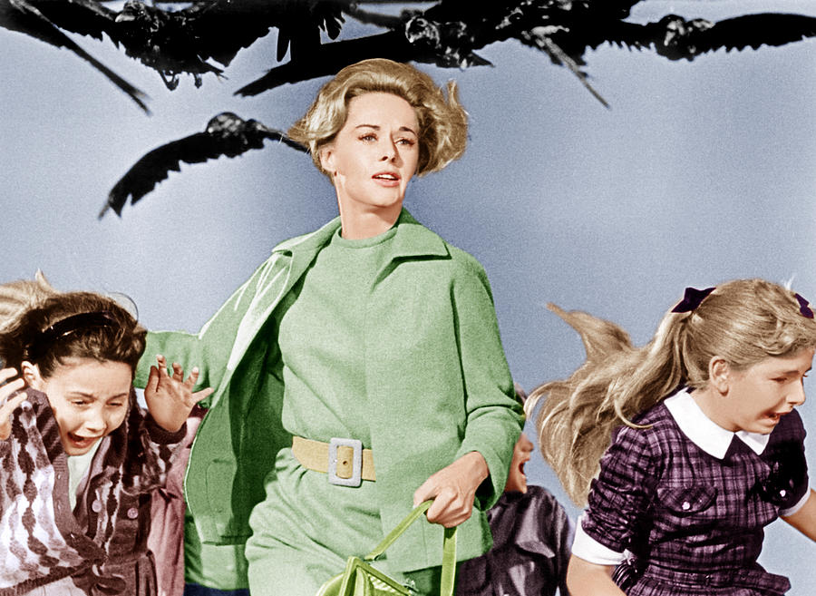 Tippi-Hedren-The-Birds-1963